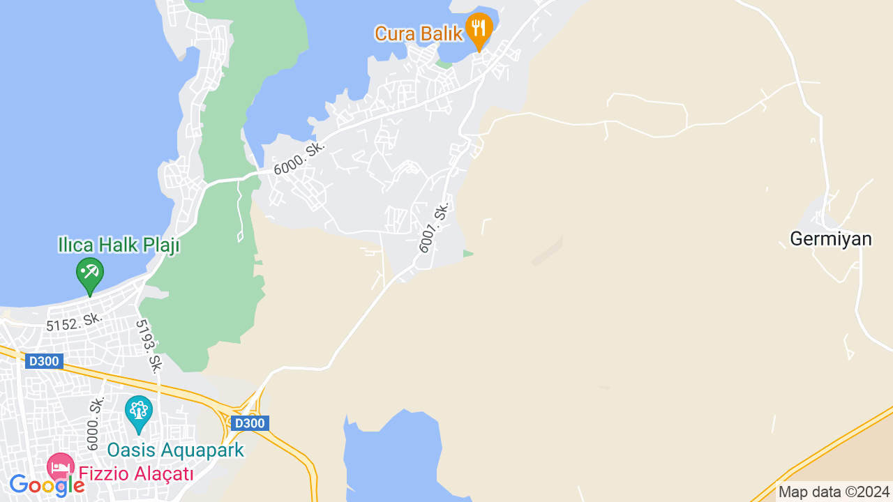 google map