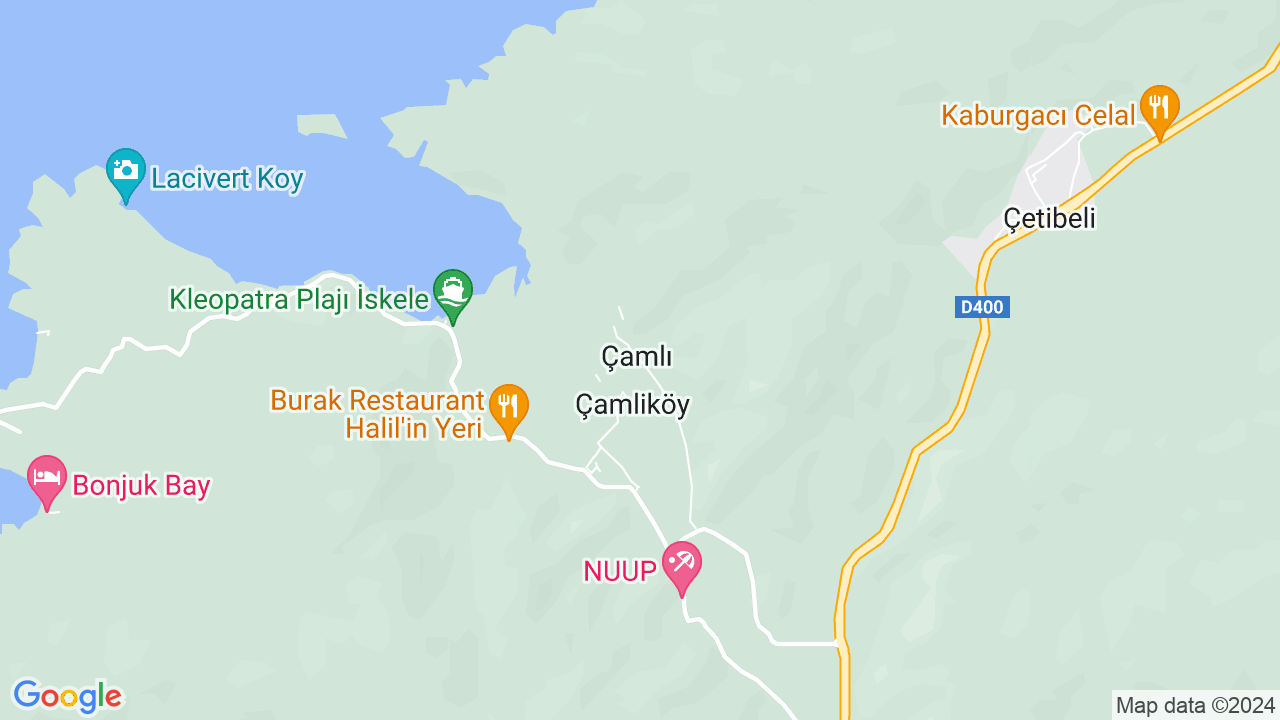 google map