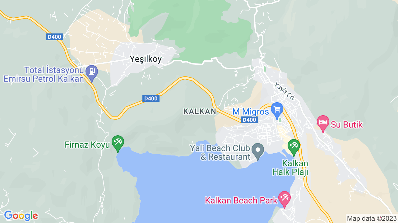 google map