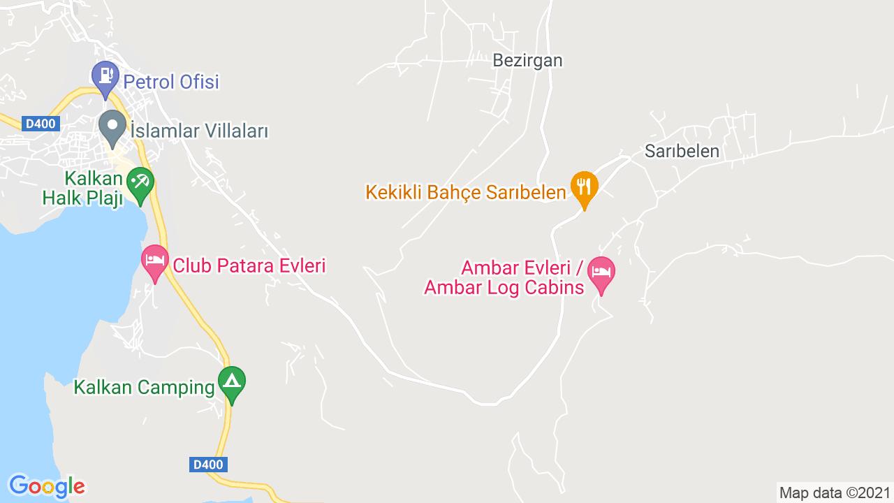 google map
