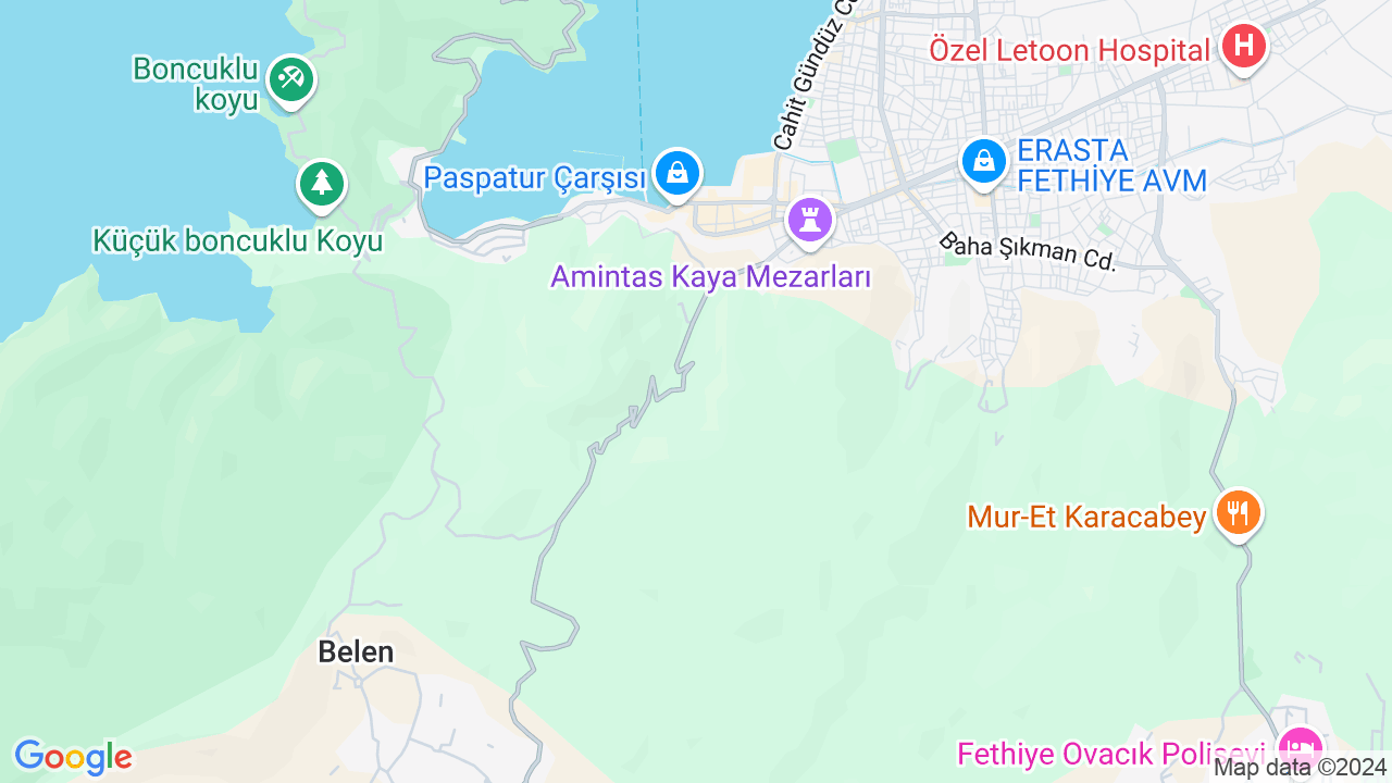 google map