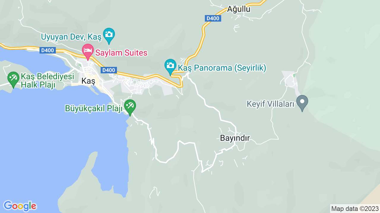 google map