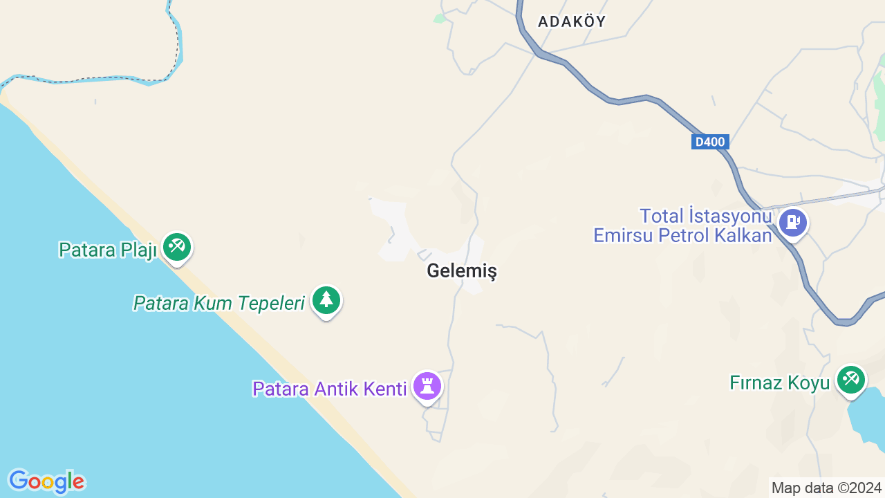 google map