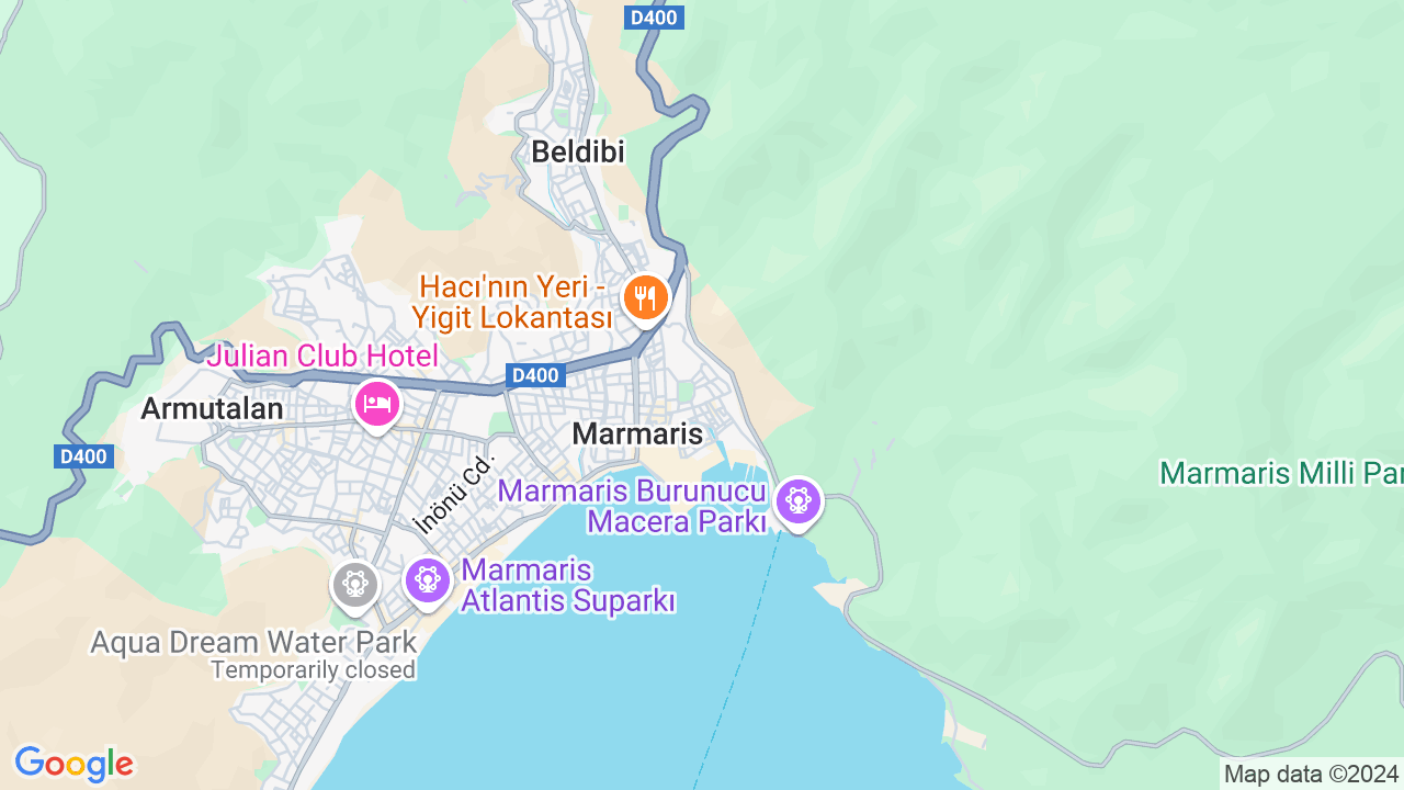 google map