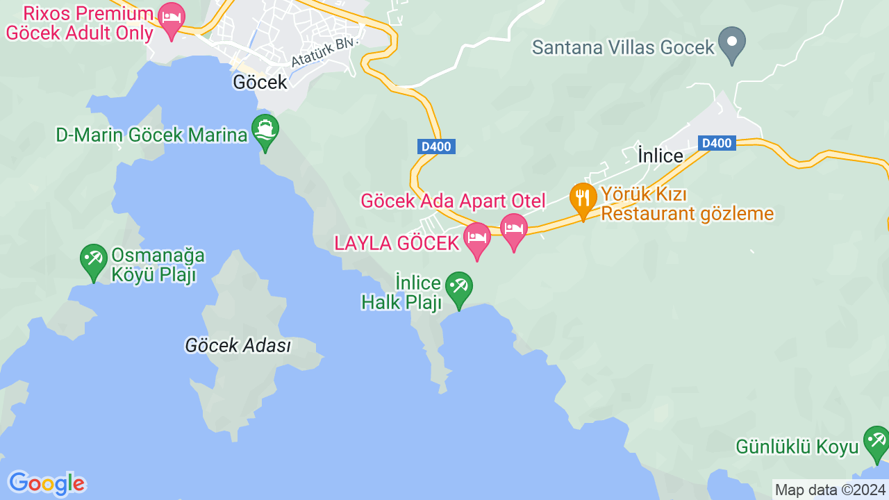 google map