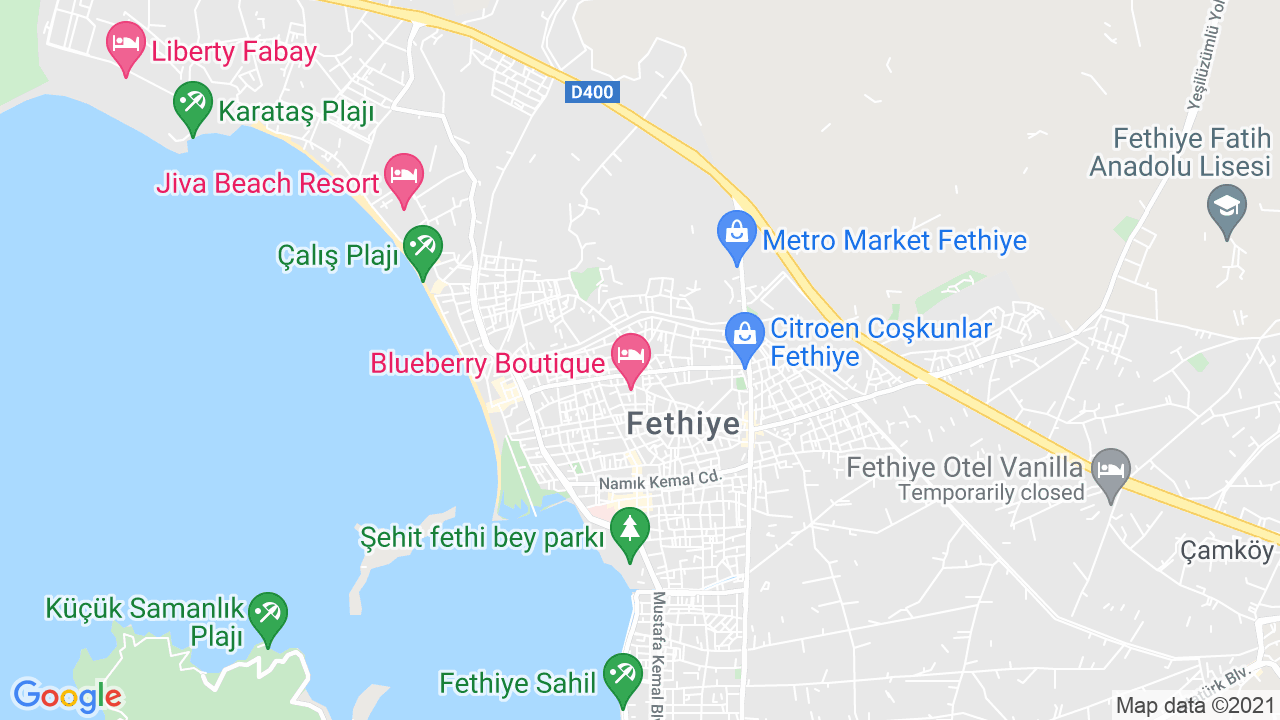 google map