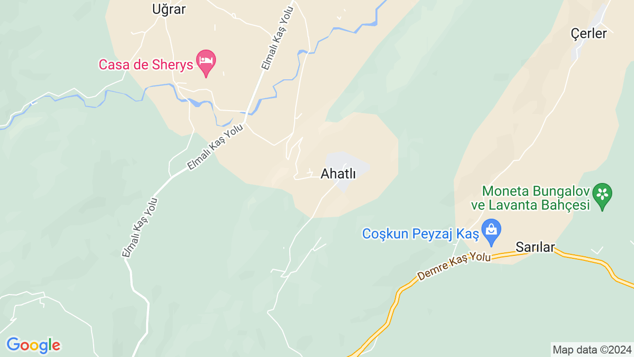 google map