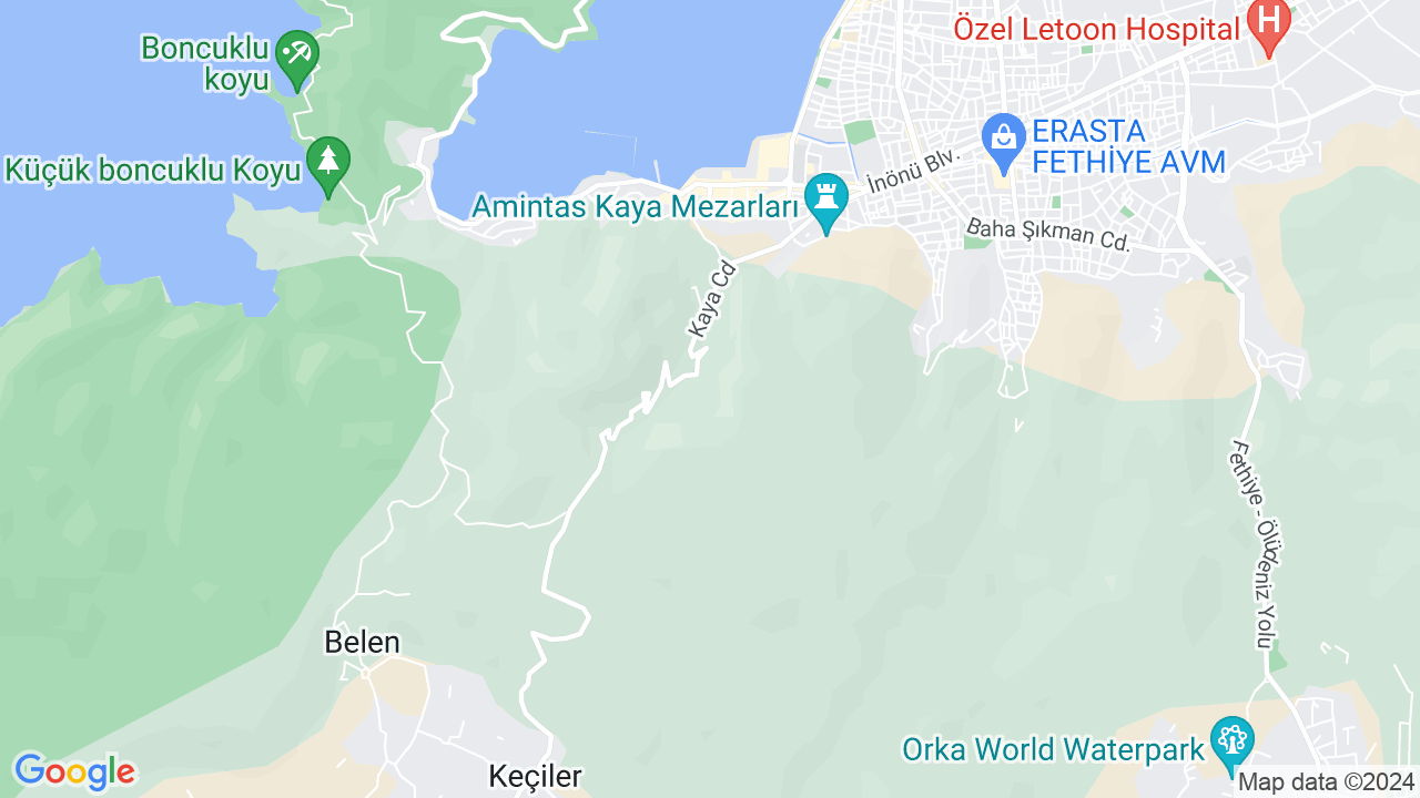 google map