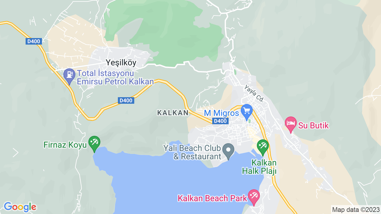 google map