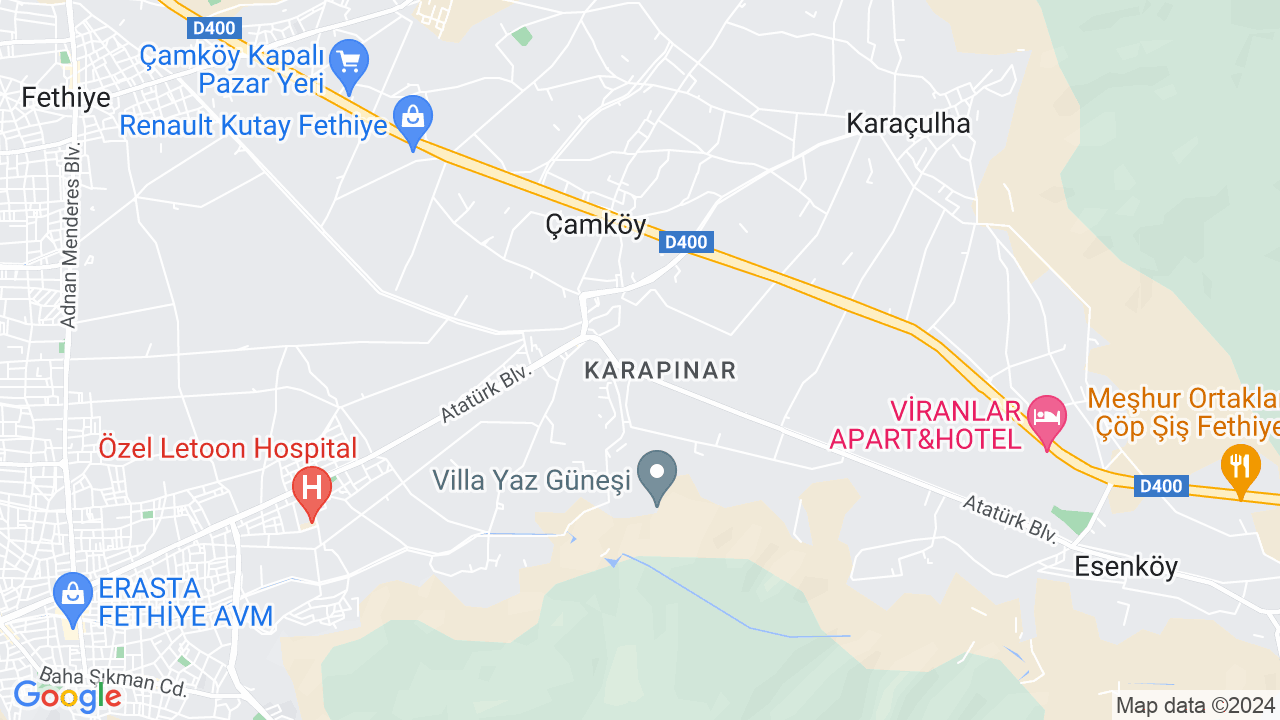 google map