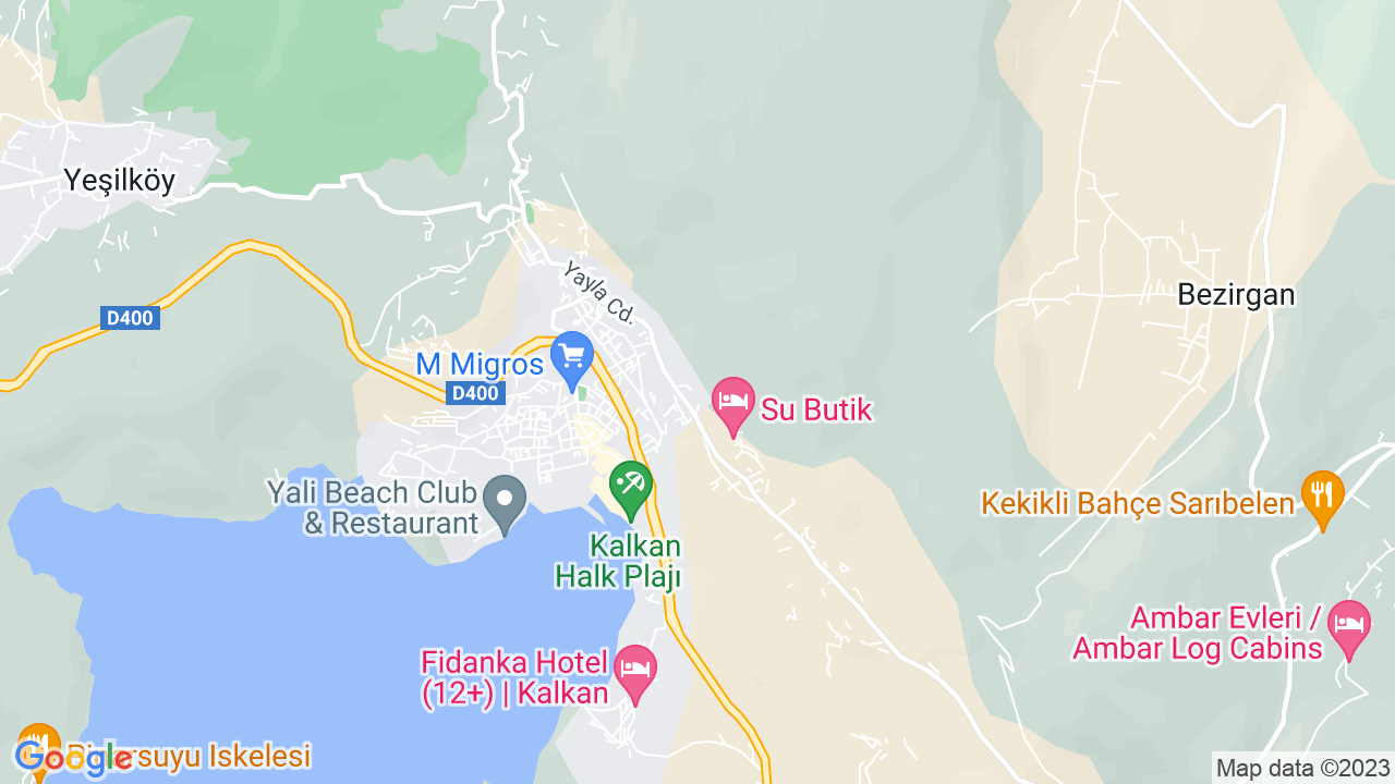 google map