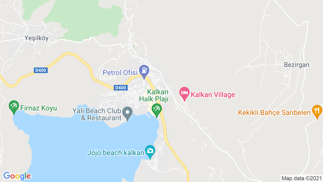 google map