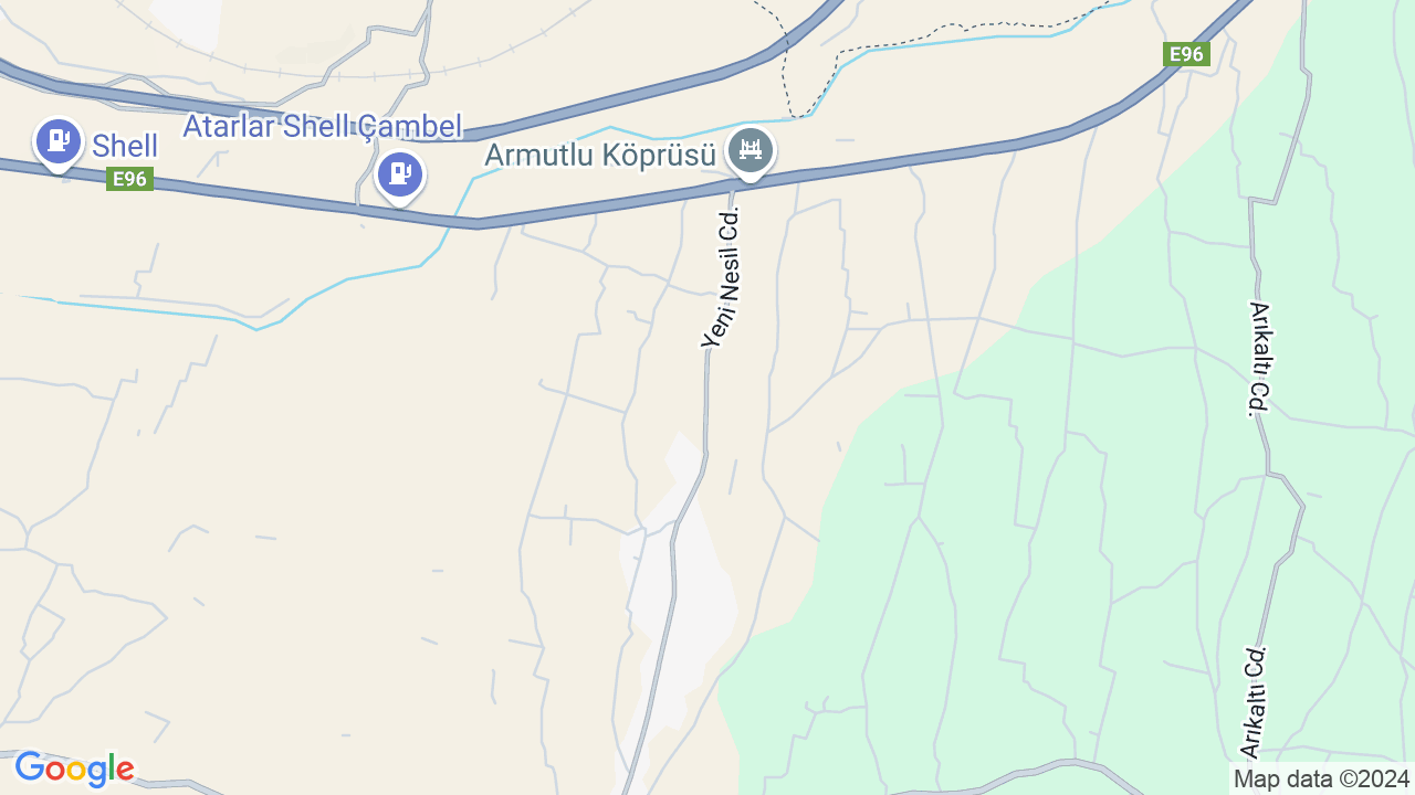 google map