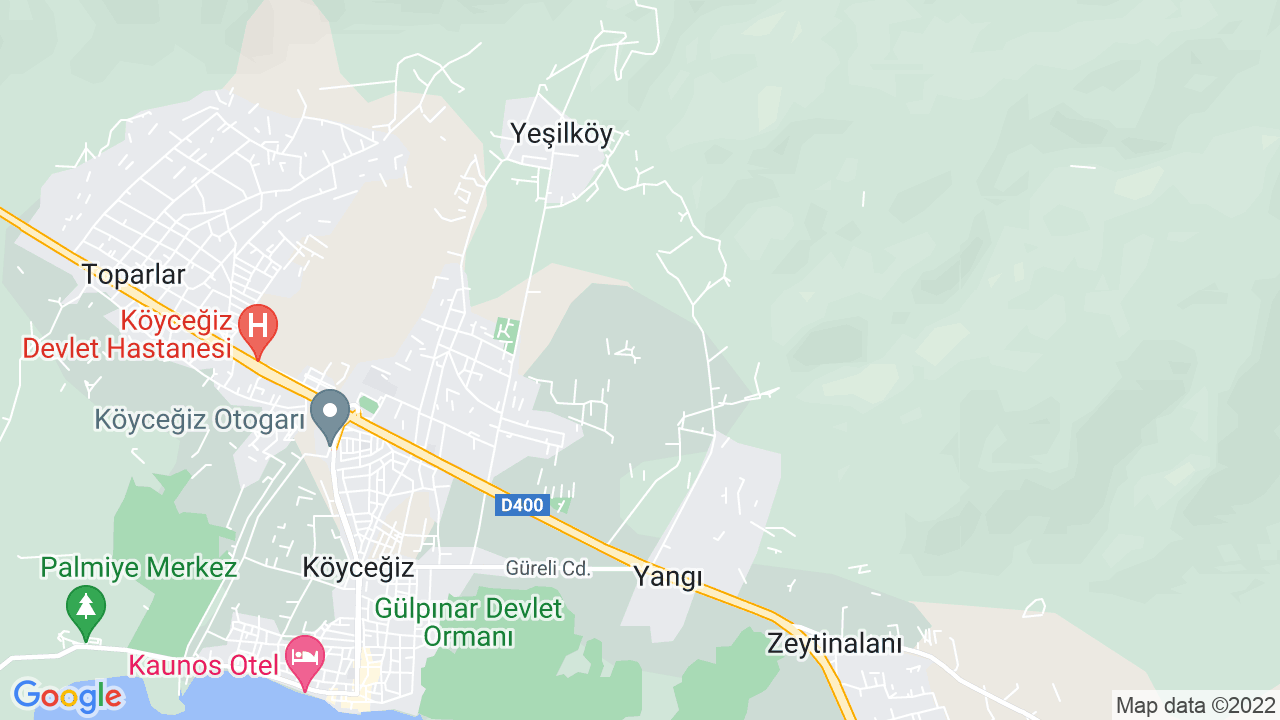 google map