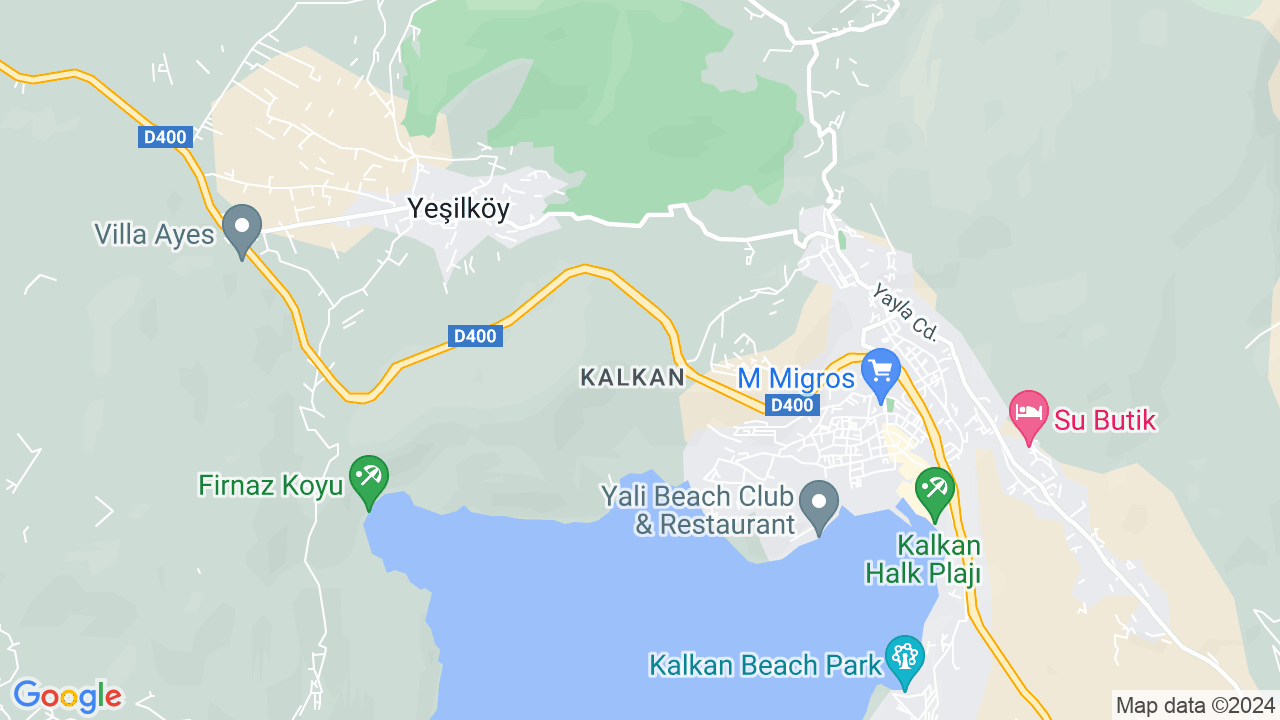 google map