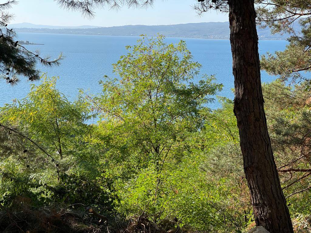 Sapanca'da Eşsiz Doğada, Göl Manzaralı, Jakuzili, Balayı Suiti